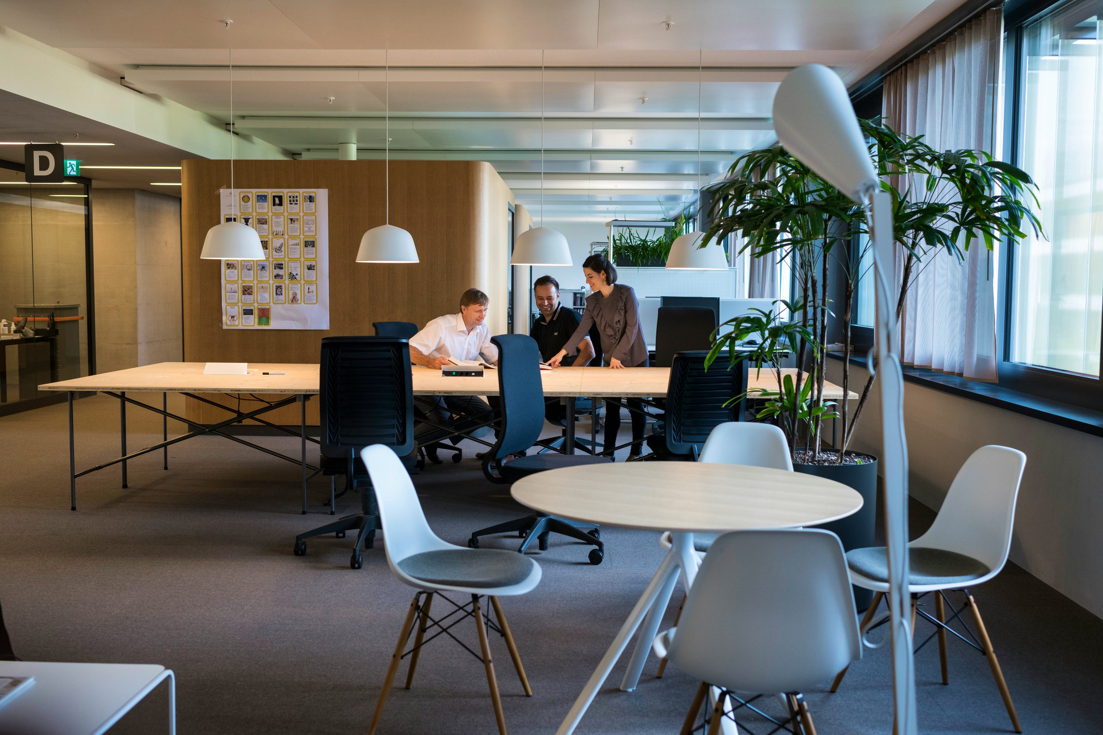 Entwicklungsprojektleiter:in | SBB