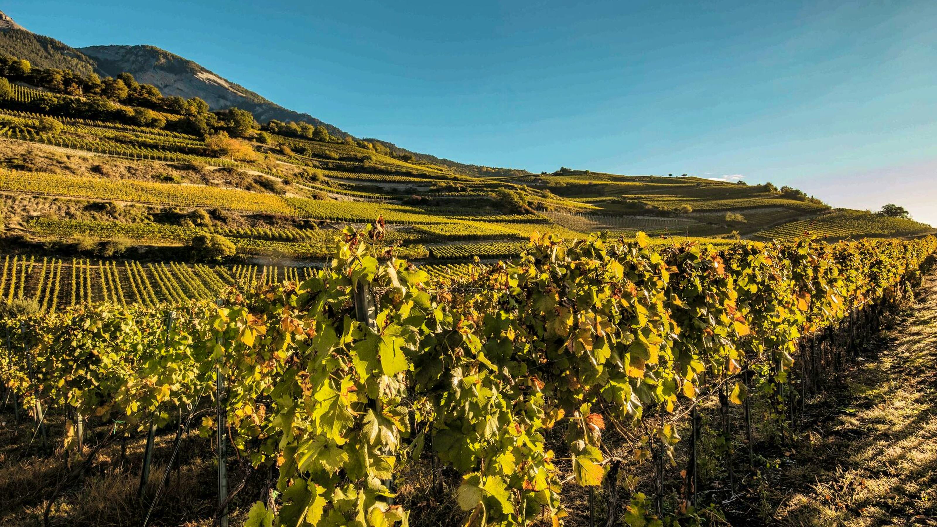 The highlights of central Valais | SBB