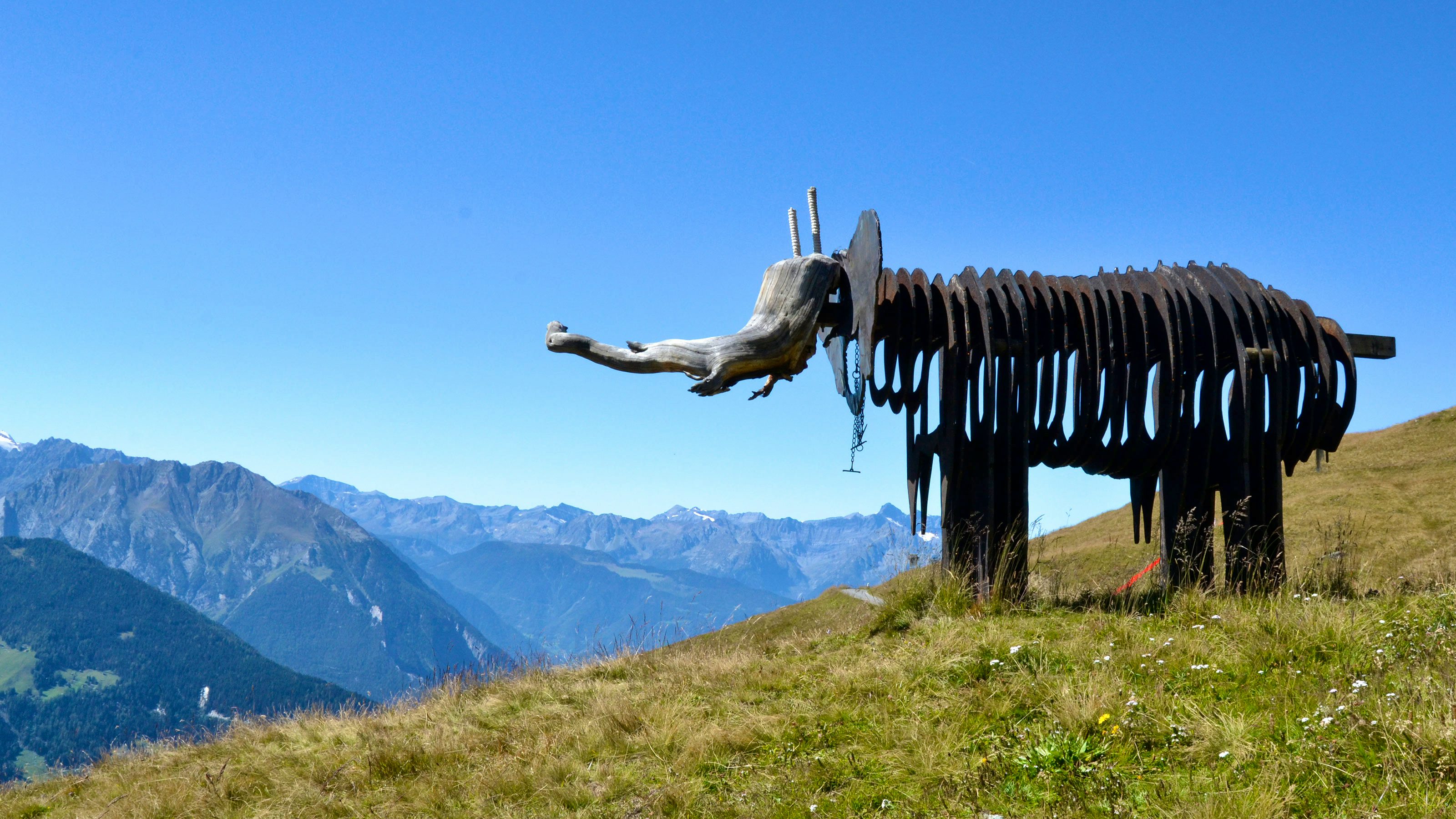 Image of the 3-D Foundation Sculpture Park.