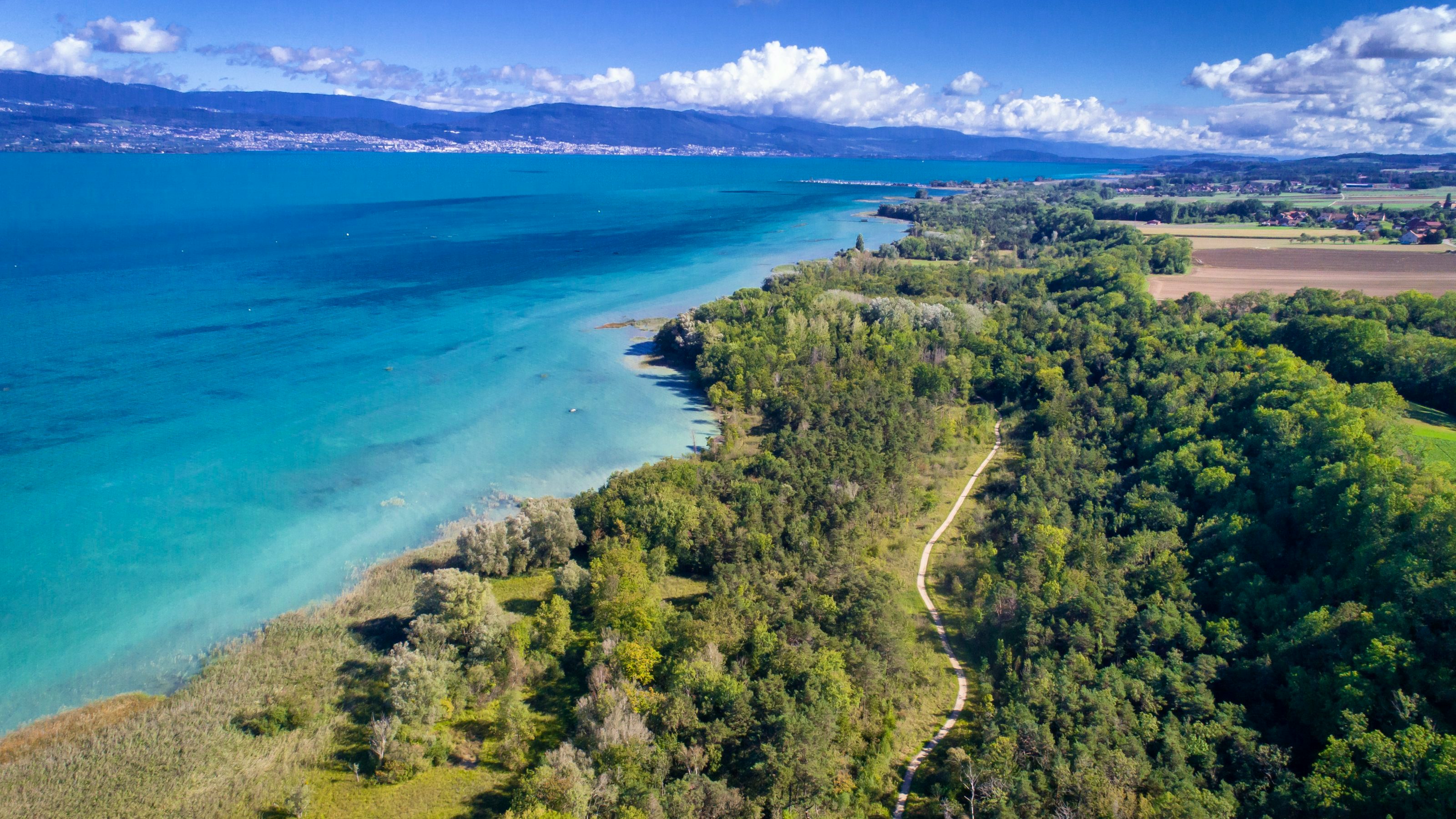 Photo de la Grande Cariçaie.