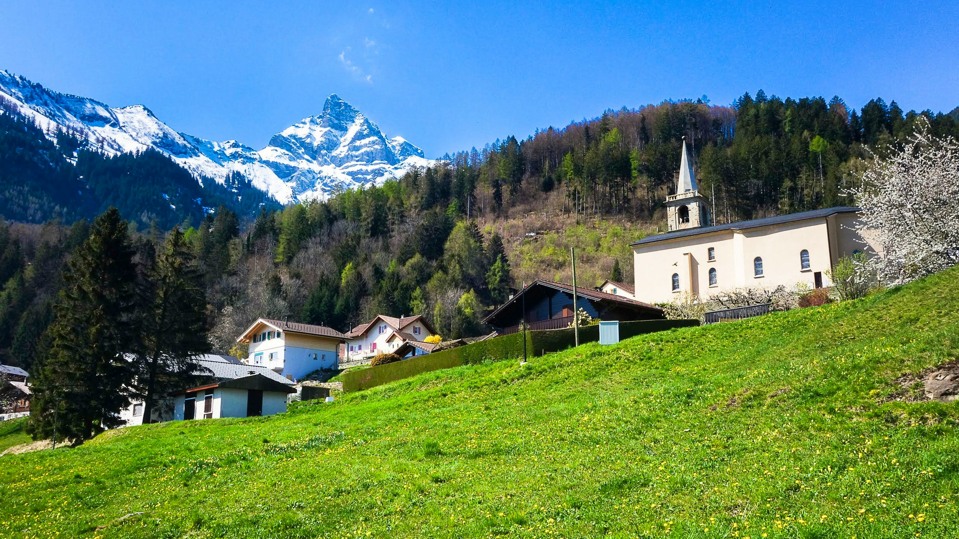 L’image est composée de trois plans en diagonale qui montent de gauche à droite. Au premier plan, on voit l’herbe verte d’un pâturage. Au-dessus, on aperçoit quelques chalets et une église aux murs blancs ornée de son clocher. Plus loin, derrière, on devine une colline couverte de sapins. En arrière-plan, des sommets enneigés se découpent sur un ciel uniformément bleu.