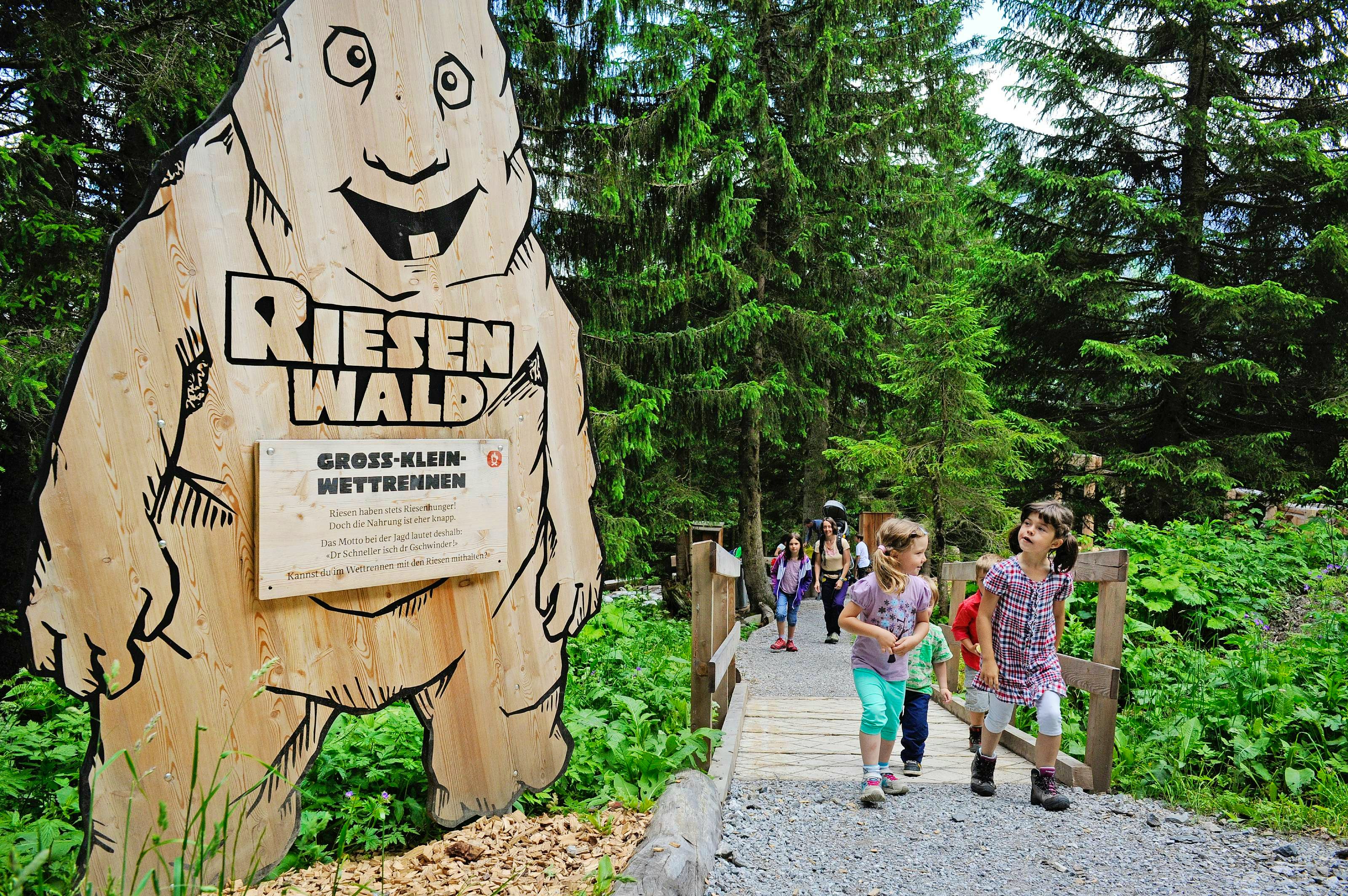 Image of the Riesenwald