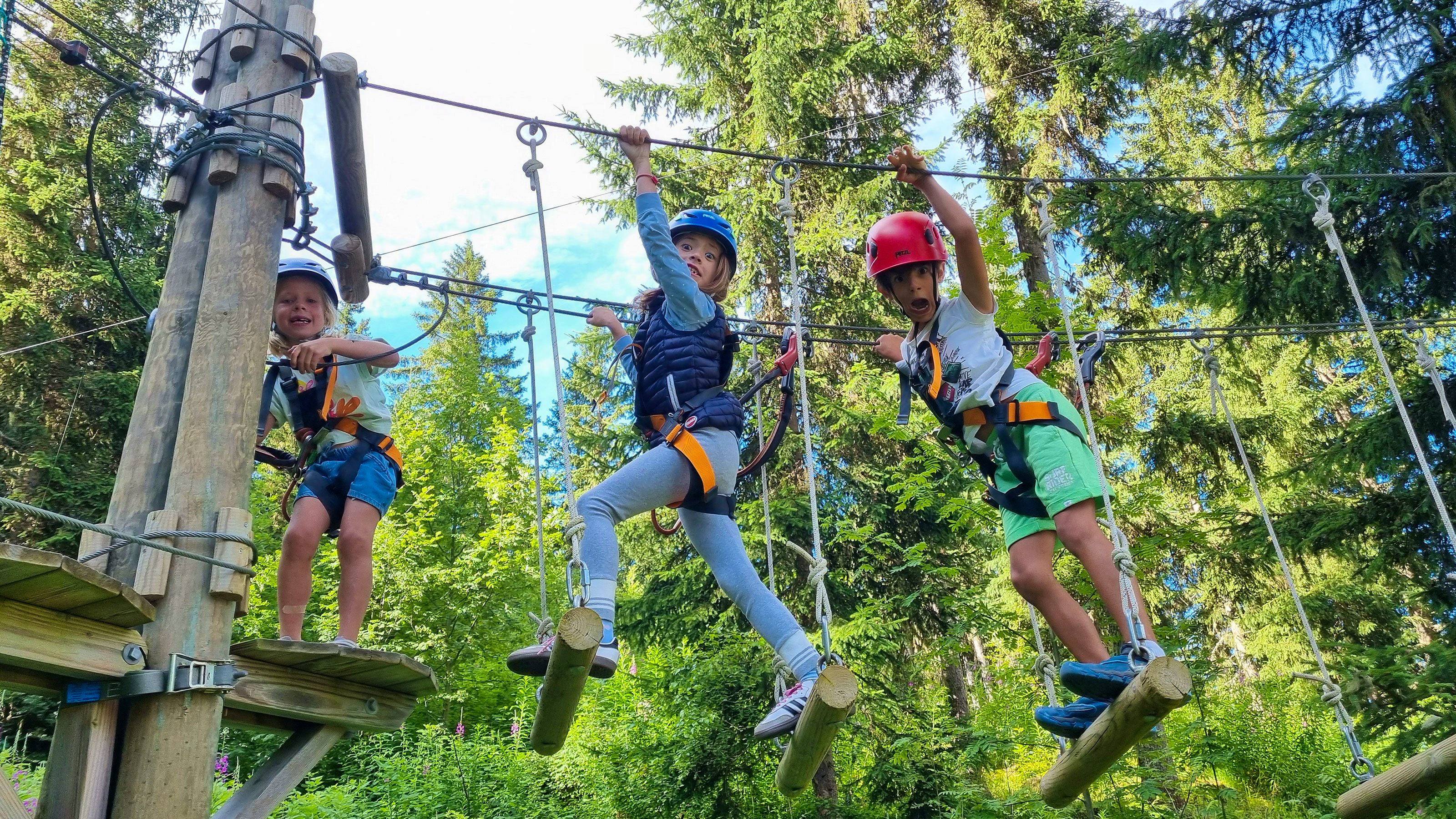Image of the Treetop Park.