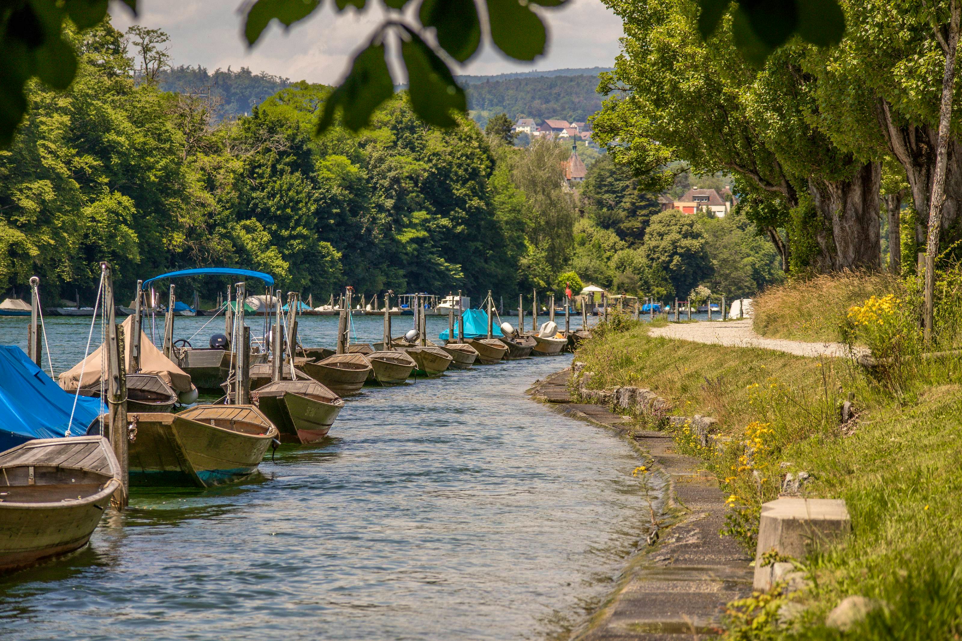 Foto dell’escursione.