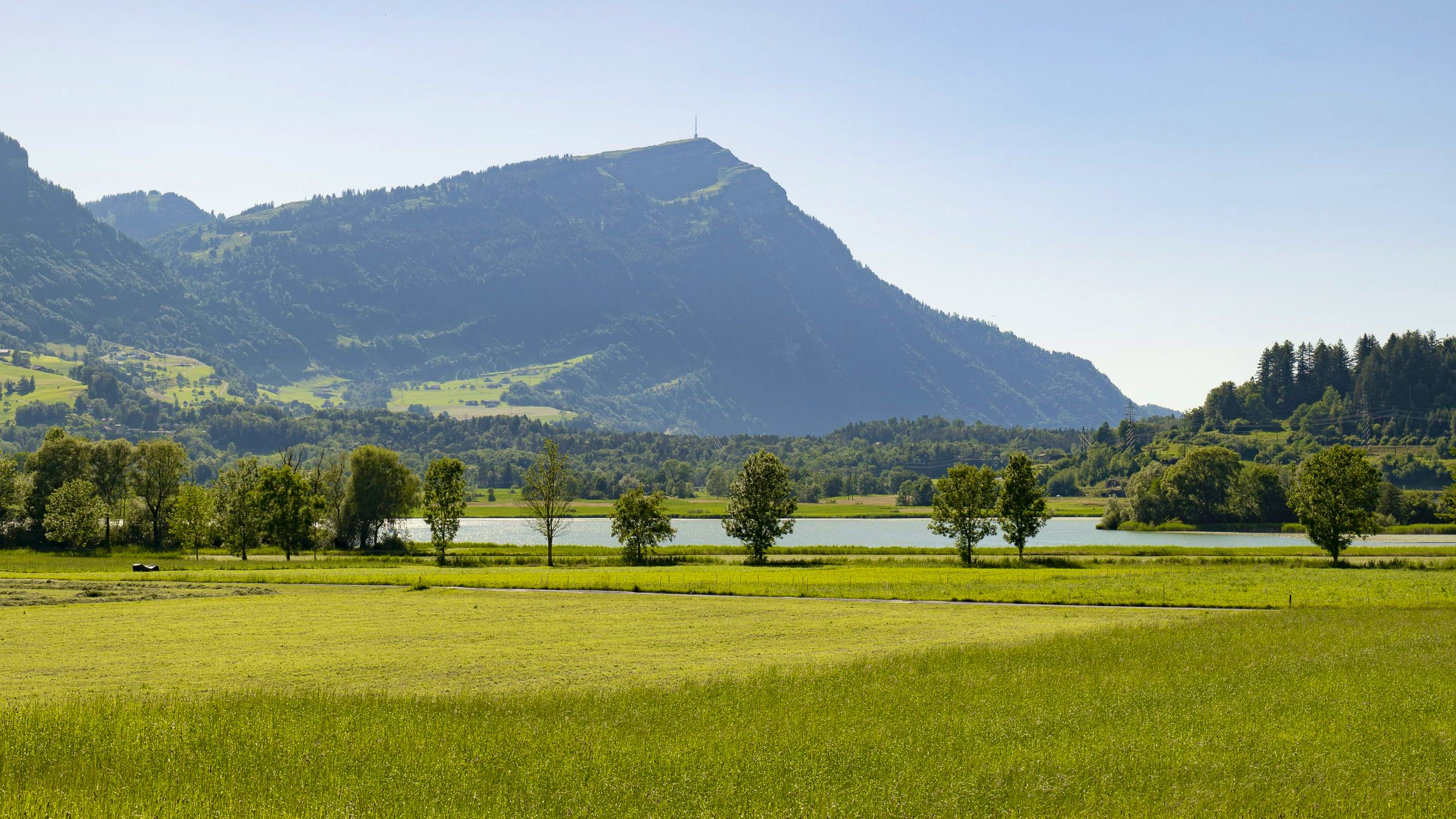 The Rigi with part of Lake Lauerz in the foreground, surrounded by meadows and trees.