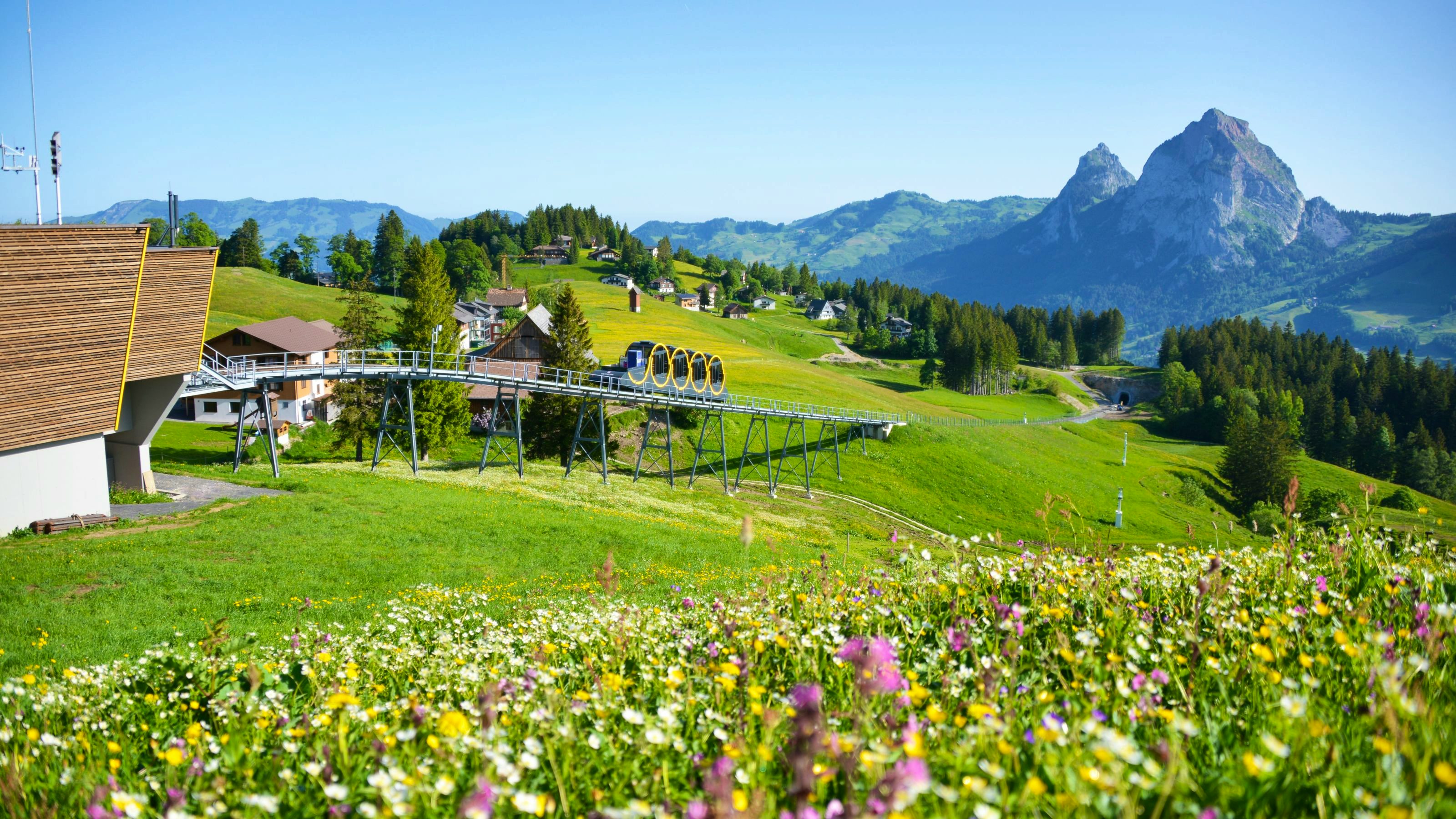 In the foreground is a flowering meadow and in the background the Stoos railway arrives at the mountain station