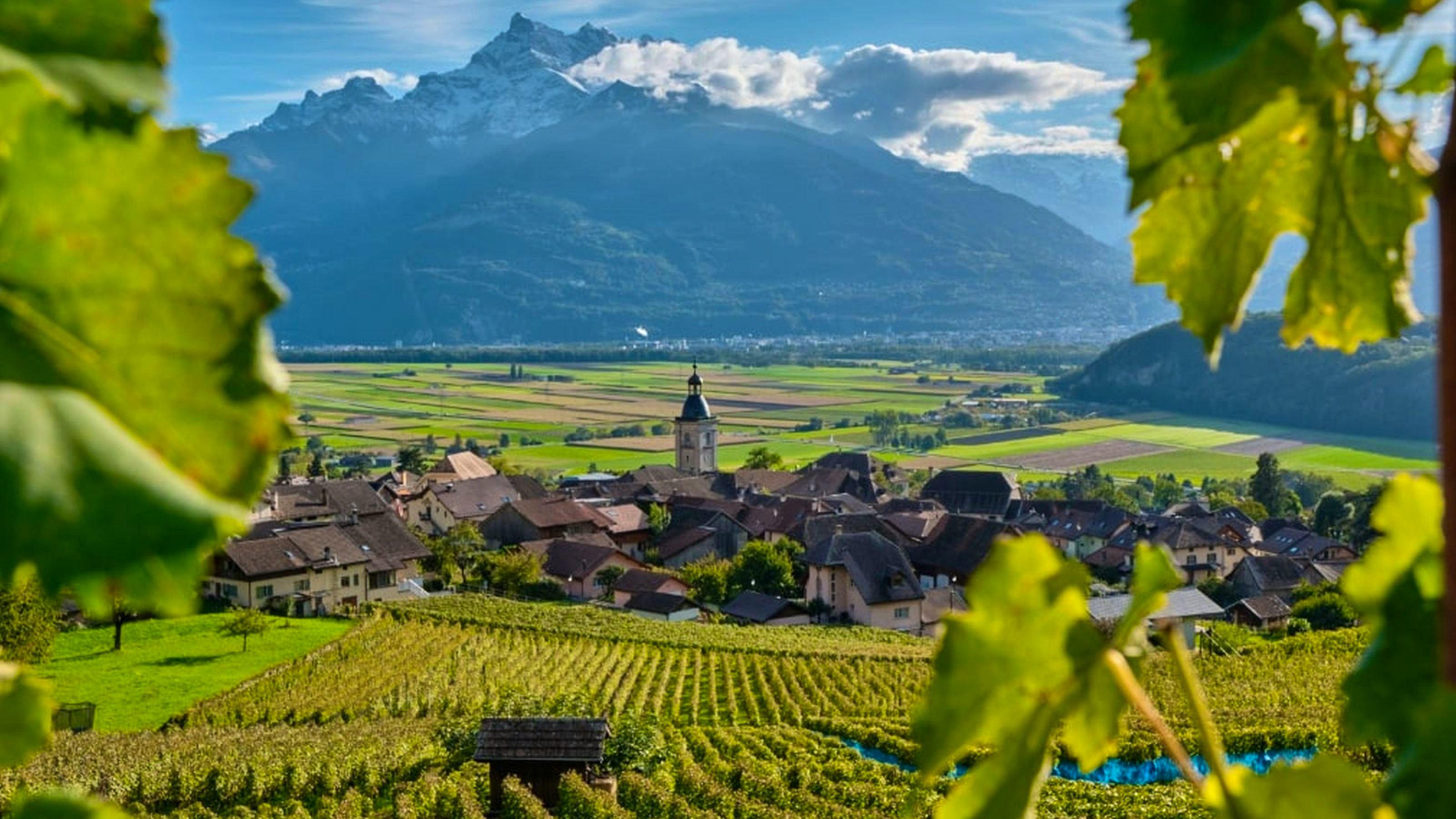 Vue sur un village traditionnel du Chablais, entouré de vignobles, avec en arrière-plan une majestueuse chaîne de montagnes partiellement recouverte de nuages. Au premier plan, de grandes feuilles de vigne encadrent l’image, ajoutant de la profondeur à la scène baignée de lumière.