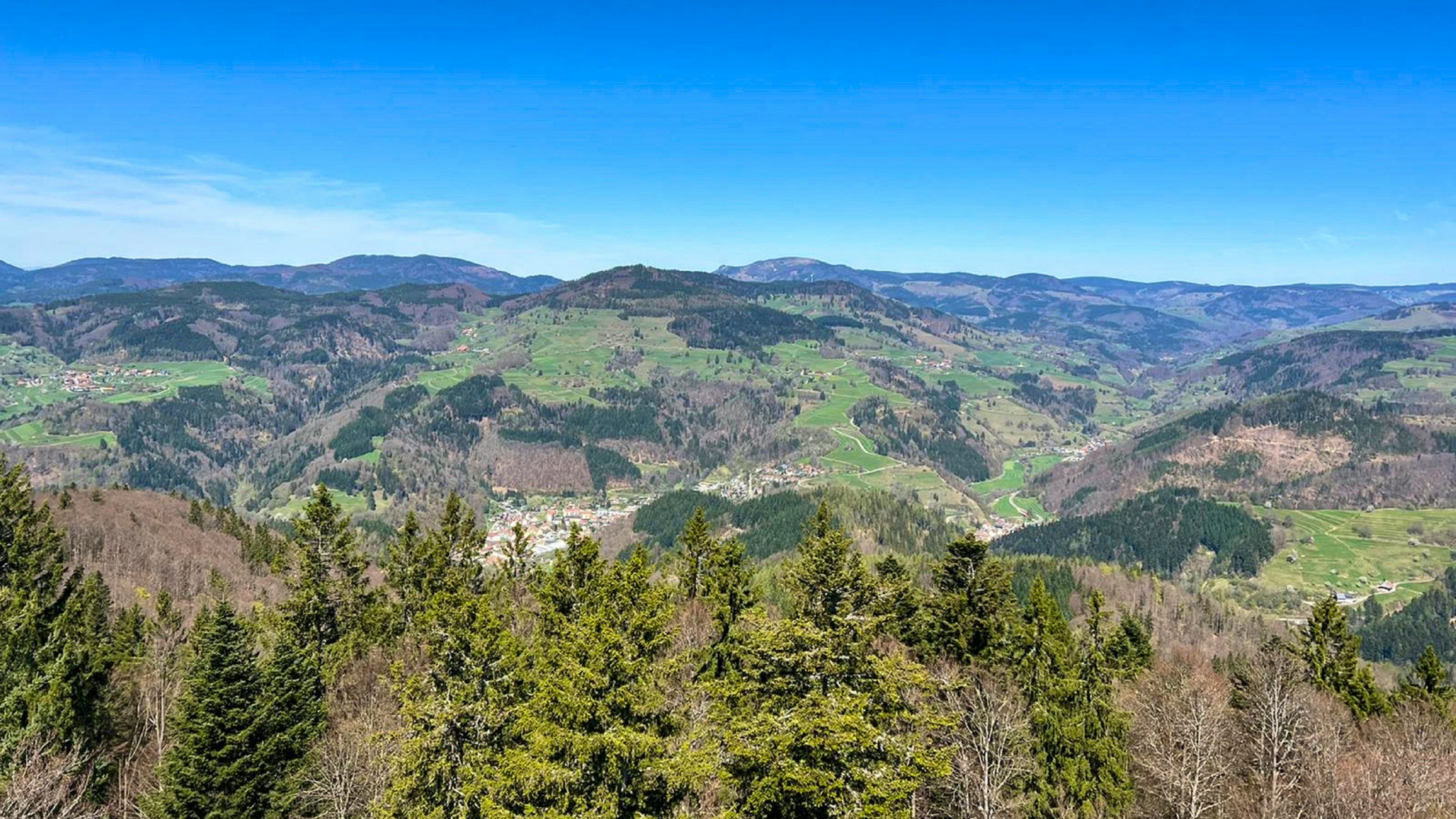 Ausblick auf den Südschwarzwald bis zu den Alpen.