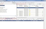 Software GUI Übersicht «Bestell Dossier» in NeTS-AVIS.